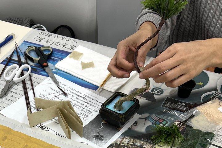 Asakusa Art of Zero Care Bonsai Authentic Crafting