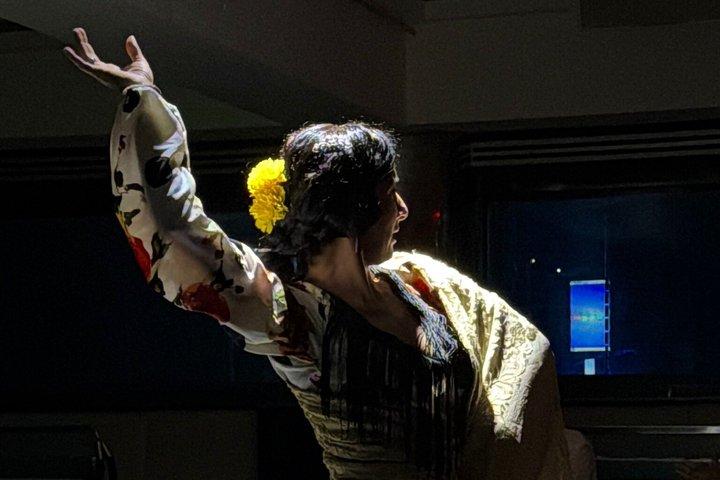 Flamencoshow i Barcelona