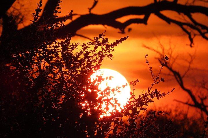 Kruger National Park - Sunset Safari trip.