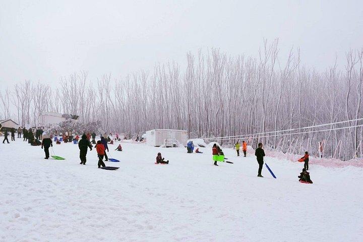 Lake Mountain Snow Experience Tour from Melbourne