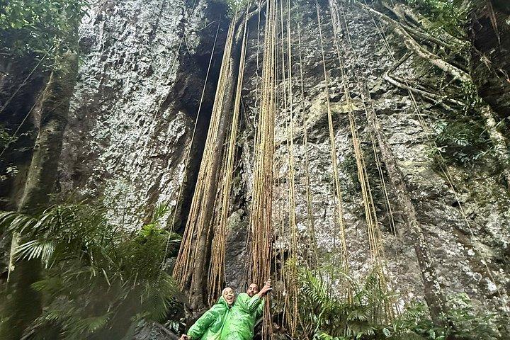ダナン/ホイアンからマンデンとコンチューラン自然保護区