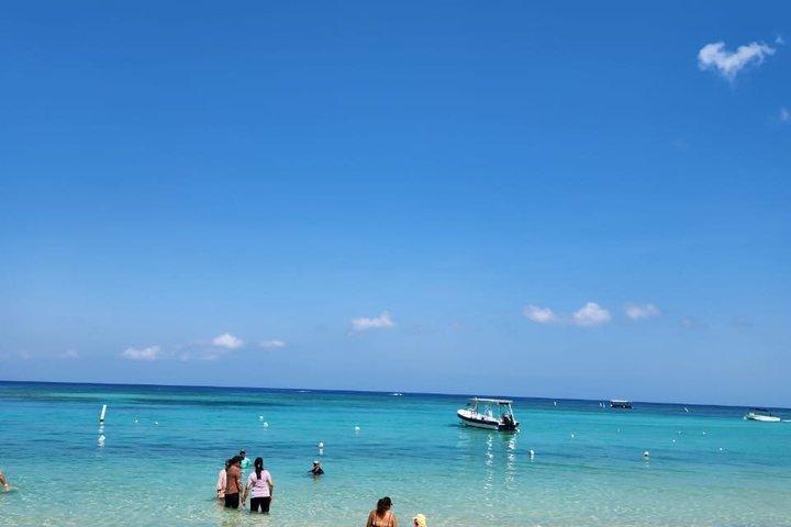 Roatan tour privato di snorkeling : scimmie, scialuppe e beach break