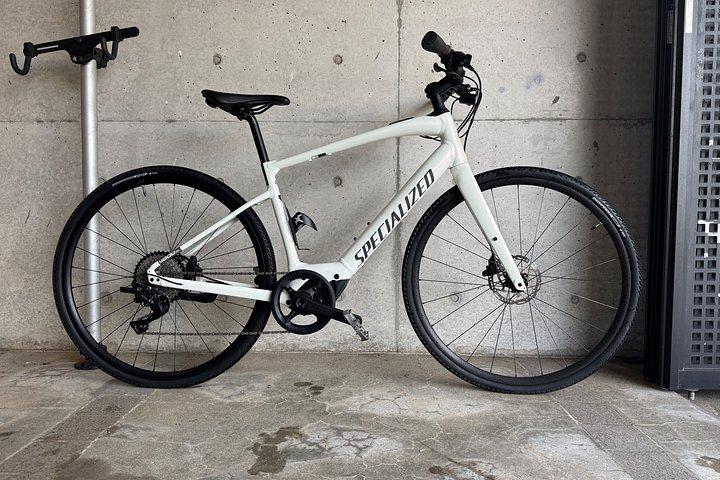 大阪Eバイクツアー：自然、勝尾寺と日本語のチーズケーキ