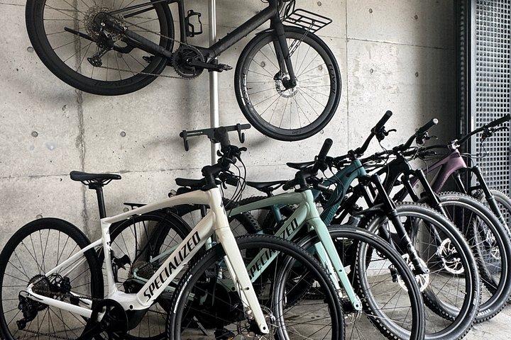 大阪Eバイクツアー：自然、勝尾寺と日本語のチーズケーキ