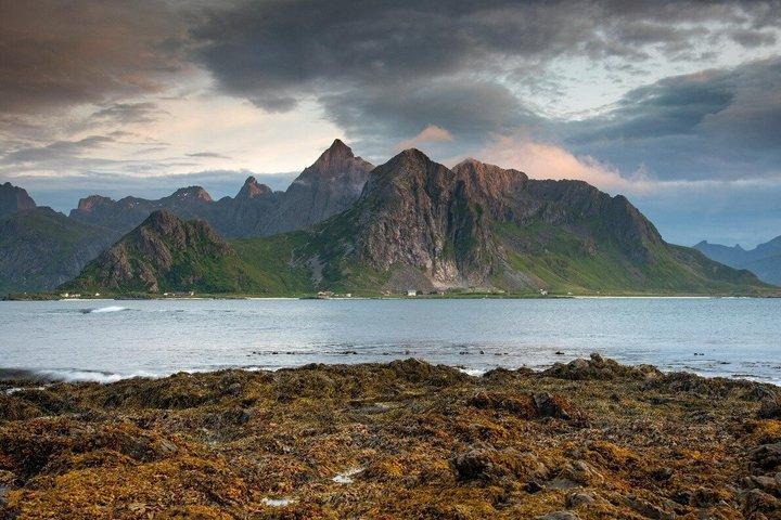 Lofoten Hidden Islands and Coastal Villages Boat Tour