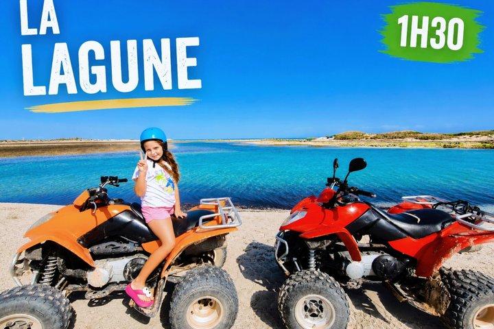 Quad a Djerba: 1,5 ore di puro divertimento ad Harissa e orizzonti turchesi