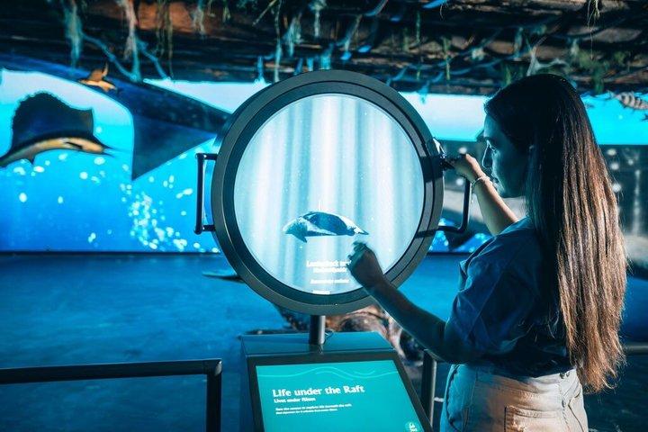 コンティキ博物館入場券