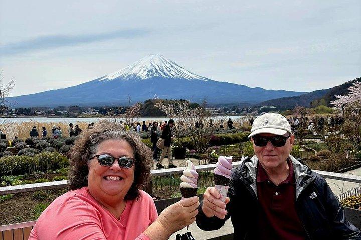 Tour personalizzabile del Monte Fuji e Hakone per 9 persone