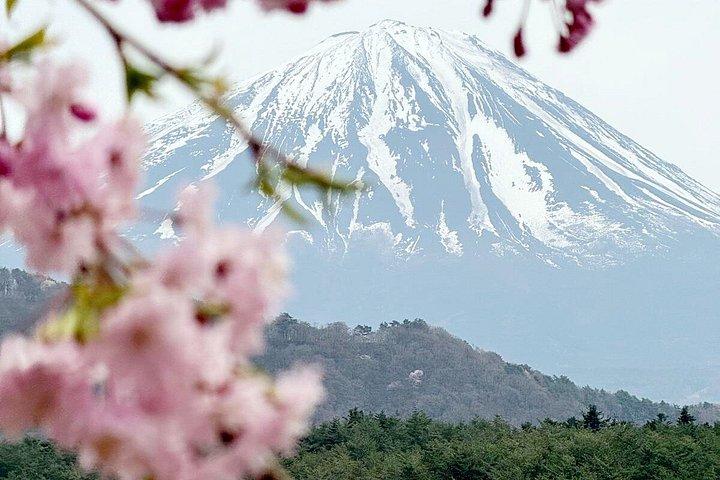 東京発富士山プライベートツアー、ライセンス付き（カスタマイズ可）