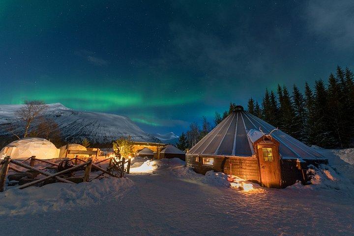 Wilderness Aurora Experience at Camp Tamok