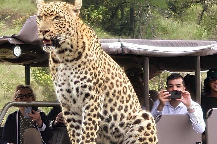 Avventura Safari di Pilanesberg di un'intera giornata