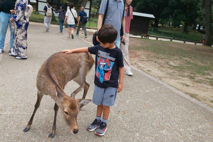 京都発奈良日帰り旅行：カスタマイズツアー、ライセンスガイド