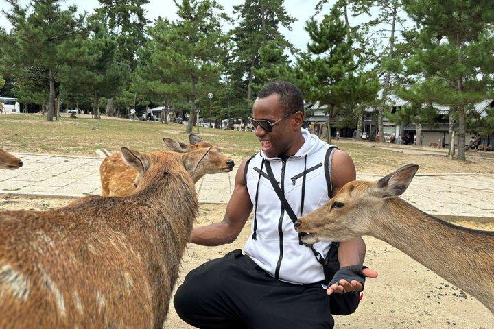 京都発奈良日帰り旅行：カスタマイズツアー、ライセンスガイド