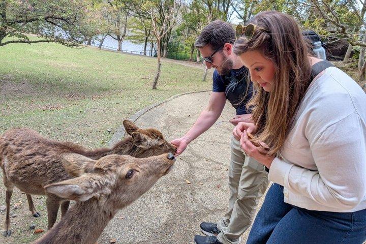 京都発奈良日帰り旅行：カスタマイズツアー、ライセンスガイド