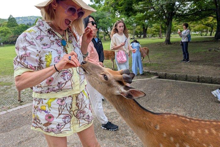 Nara Tour Privado Personalizado em 1 Dia com Guia Licenciado