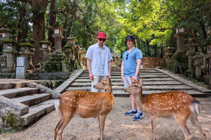 Excursión de un día a Nara desde Kioto : Tour personalizado, Guía con licencia