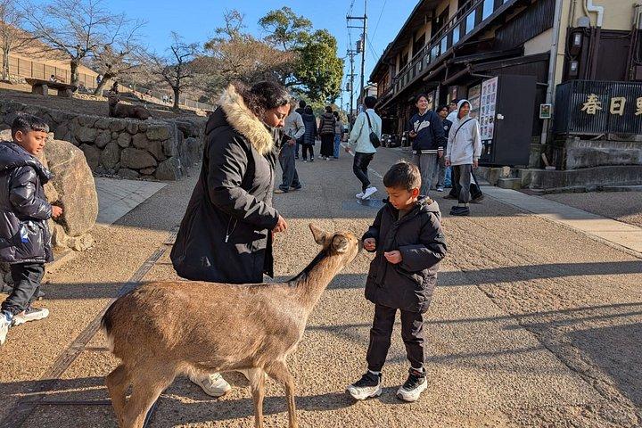 ライセンスガイド付き1日で奈良カスタマイズプライベートツアー