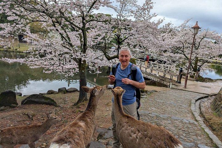 奈良の地酒と食のプライベートツアー（ライセンスガイド付き）