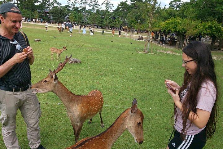 奈良の地酒と食のプライベートツアー（ライセンスガイド付き）