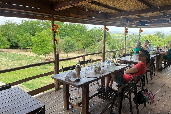Montepulciano : チンタ・セネーゼ農場ツアー、フード・テイスティング＆ワイン