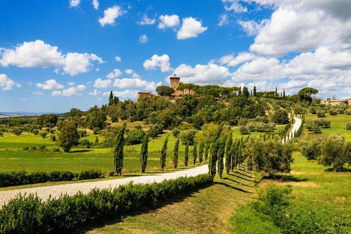 Vanuit Florence : Val d'Orcia, Montepulciano & Montalcino