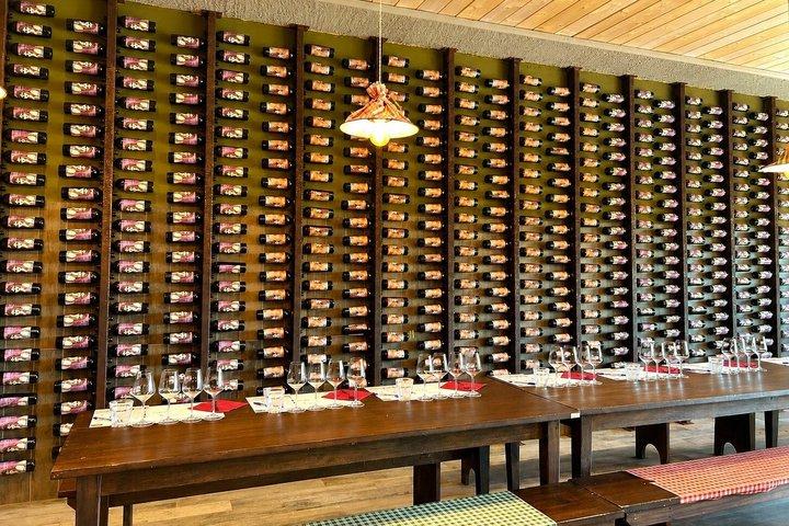 Da Firenze : Chianti Wine Experience con Degustazioni e Viste