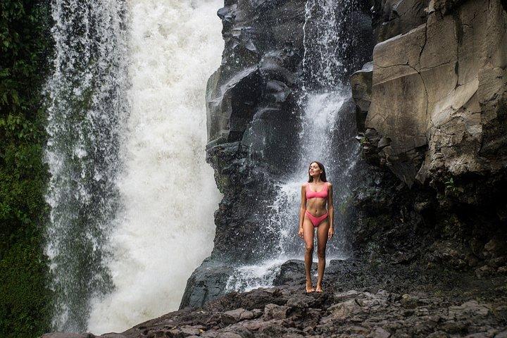バリ島アイコンインスタツアー天国の門と隠れた宝石
