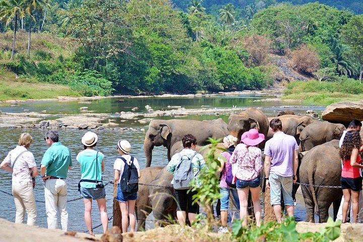 シェハンとコロンボからキャンディ、その先へプライベートツアー