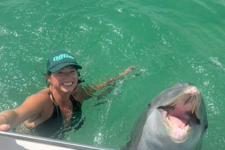 2 Hour Private Panama City Beach Dolphin Tour