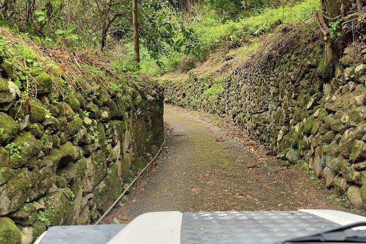 Funchal 4x4 og Whale Watching Combo-eventyr