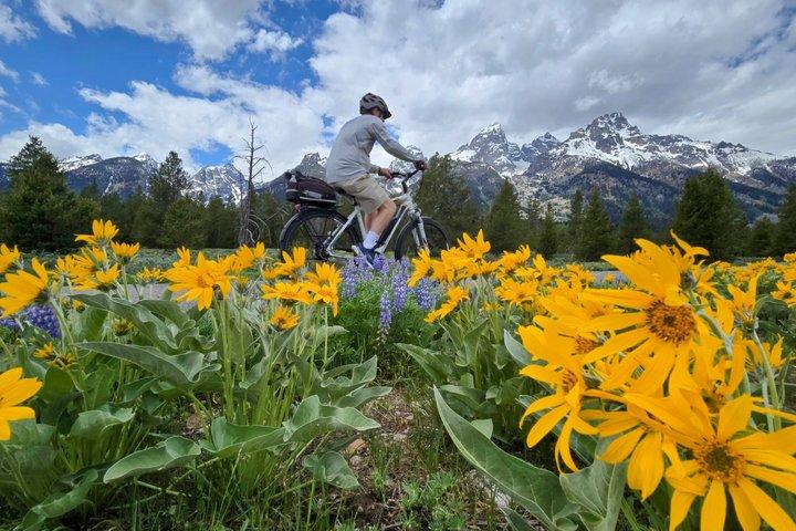 Scenic Wildlife Adventure in Grand Teton by E Bike