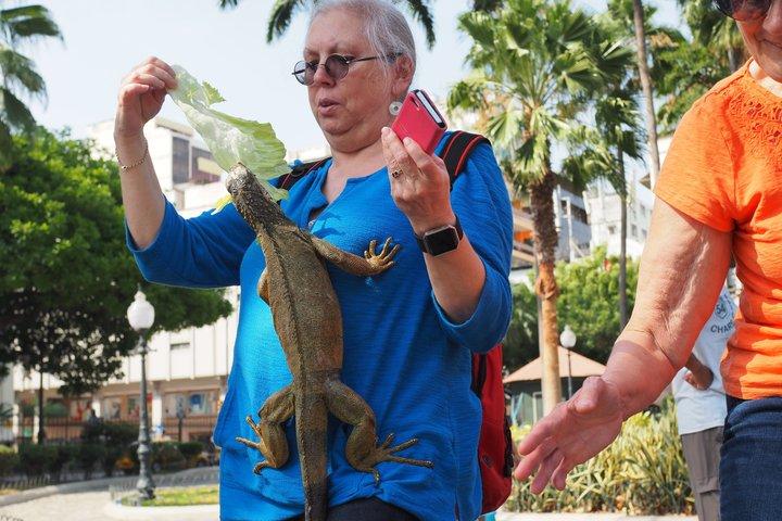 Legends & Legacy : Stadstour + historische begraafplaatswandeling