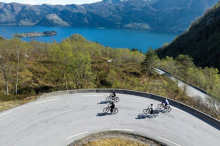 ベルゲン発E-バイクとRIBフィヨルドサファリ日帰りツアー