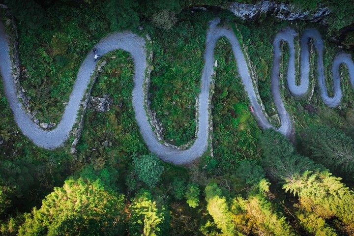 ベルゲン発E-バイクとRIBフィヨルドサファリ日帰りツアー