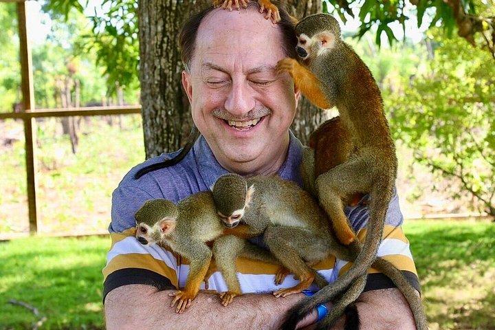 Punta cana : monkey sanctuary, lunch, Macau beach