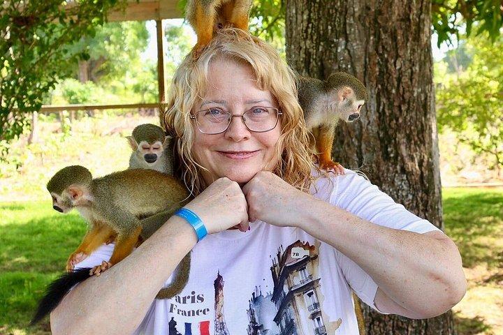 Punta cana : monkey sanctuary, lunch, Macau beach