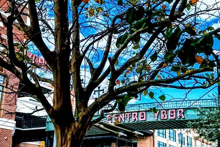 アイコニック・イボル・キューバサンドイッチと歴史ツアー