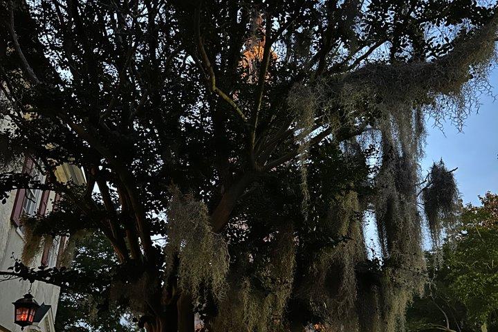 O original Ghostwalk de Charleston