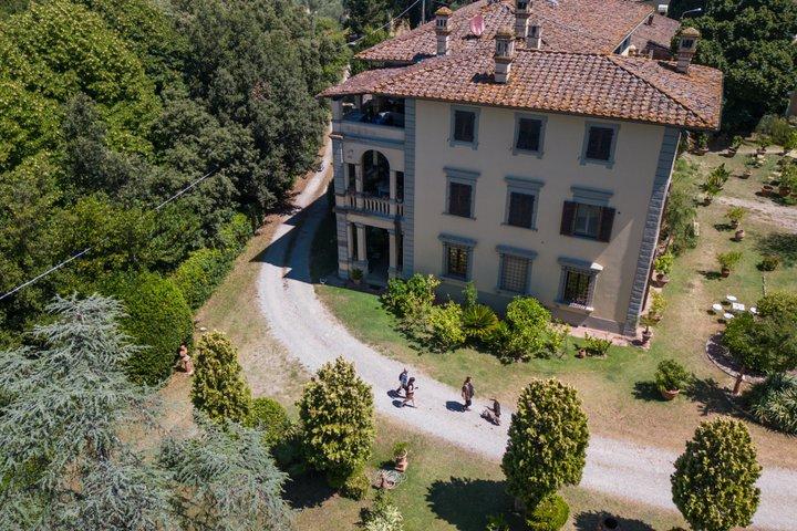 Truffle Hunt & Tasting – Tuscany's Truffle Capital