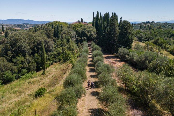 Truffle Hunt & Tasting – Tuscany's Truffle Capital
