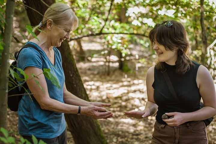 Truffle Hunt & Tasting – Tuscany's Truffle Capital