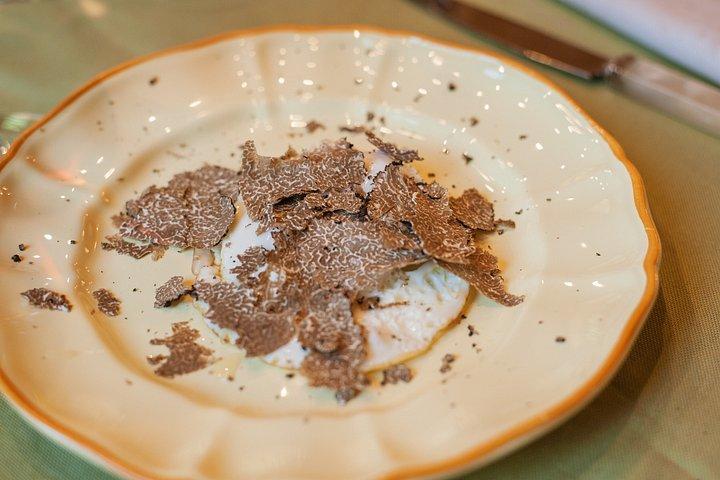 Truffle Hunt & Tasting – Tuscany's Truffle Capital