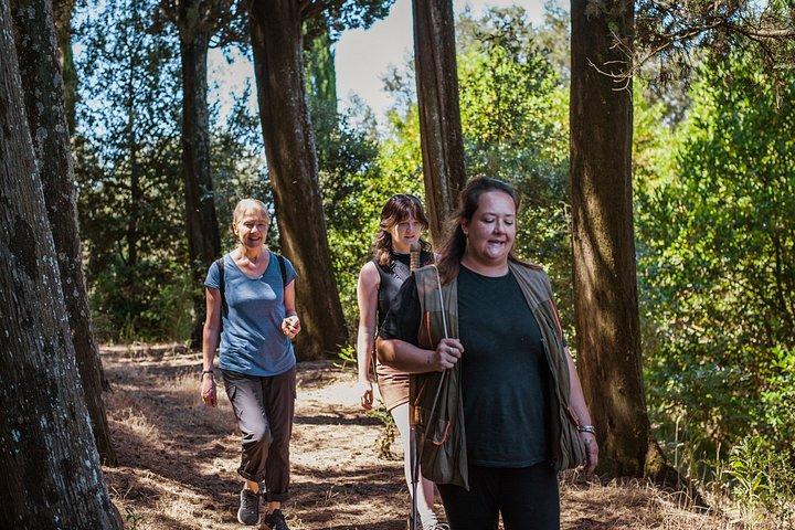 Truffle Hunt & Tasting – Tuscany's Truffle Capital