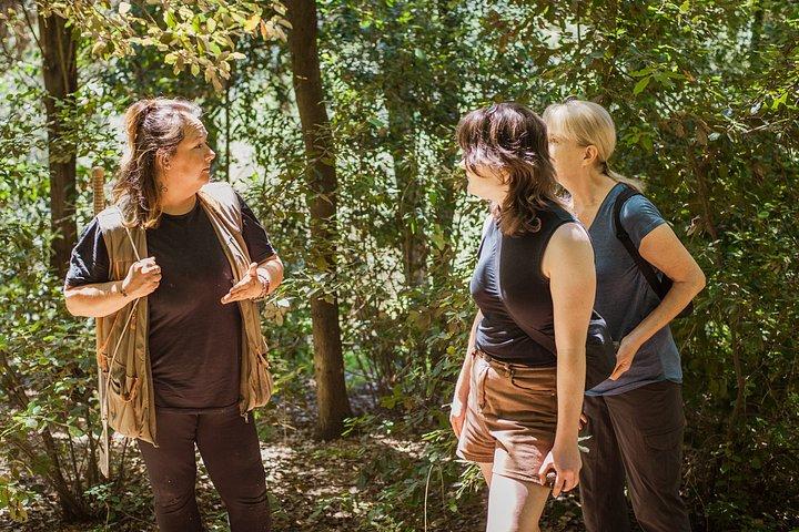 Truffle Hunt & Tasting – Tuscany's Truffle Capital