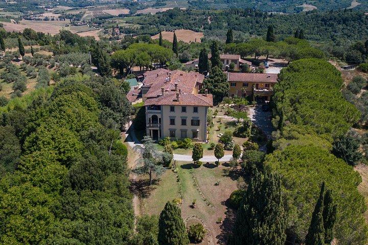 Truffle Hunt & Tasting – Tuscany's Truffle Capital