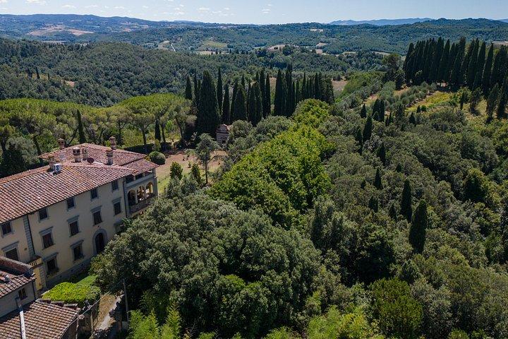 Truffle Hunt & Tasting – Tuscany's Truffle Capital