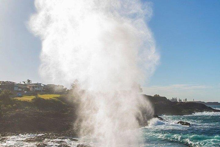 噴火するブローホールと太古の熱帯雨林 シドニー南海岸のプライベートツアー