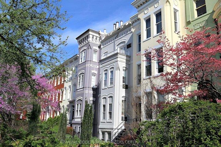 スパイグラス・シティーズ北東回廊パックで都市の秘密を解き明かす