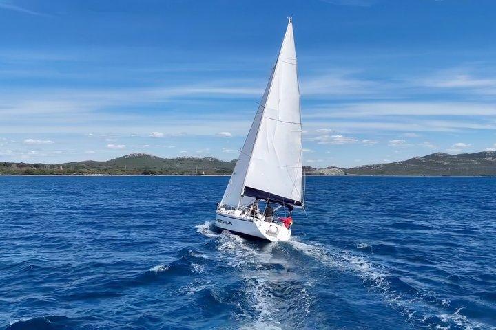 ぷらら：半日セーリング（飲み物付き）、SUP＆GoPro（最大7名様）