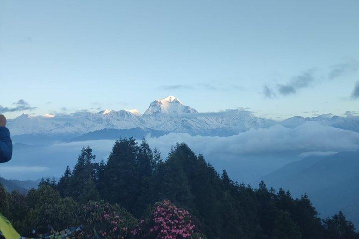 Ghorepani Poonhill Trek from Pokhara